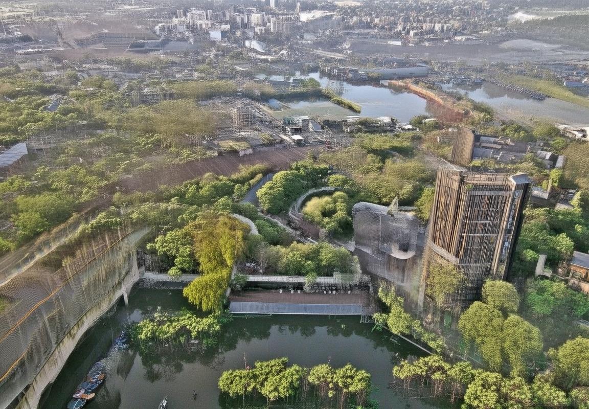 恩德里克：巴西足球天才的崛起之路与未来展望