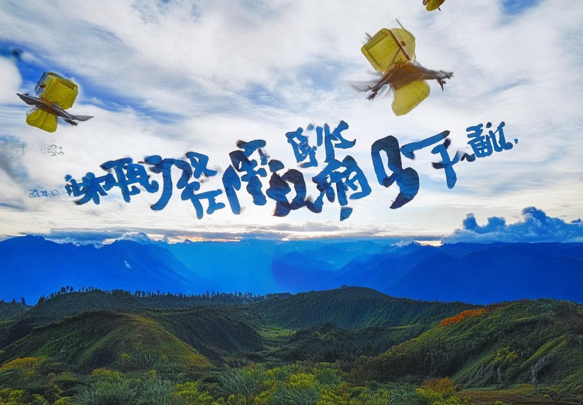 恩德里克：巴西足球天才的崛起之路与未来展望(图2)